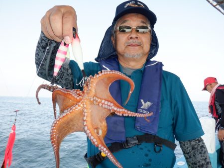 かもめ釣船 釣果