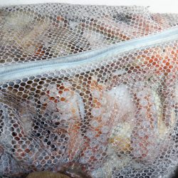 かもめ釣船 釣果