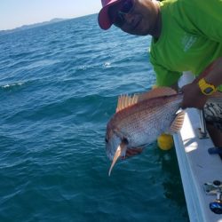 遊漁船 ニライカナイ 釣果