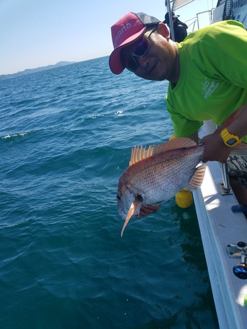 遊漁船 ニライカナイ 釣果