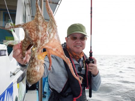 かもめ釣船 釣果