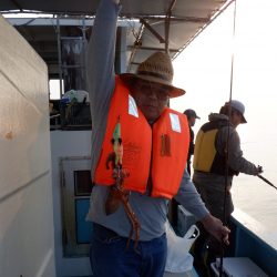 かもめ釣船 釣果