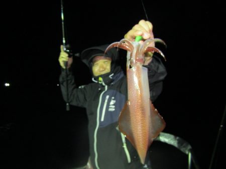 ジギング船 BLUEWATER 釣果