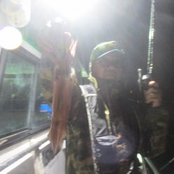 ジギング船 BLUEWATER 釣果