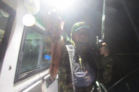 ジギング船 BLUEWATER 釣果