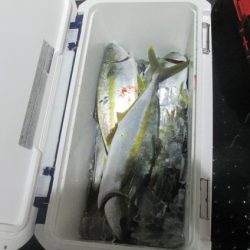 ジギング船 BLUEWATER 釣果