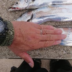 渋いです。人の方が多いかも❗