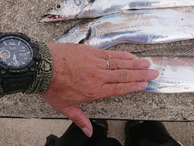 渋いです。人の方が多いかも❗