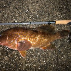 神戸ミッドワインド