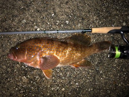 神戸ミッドワインド