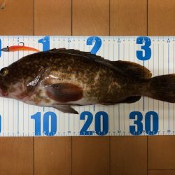 神戸ミッドワインド