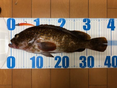 神戸ミッドワインド