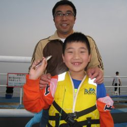 オリジナルメーカー海づり公園(市原市海づり施設) 釣果