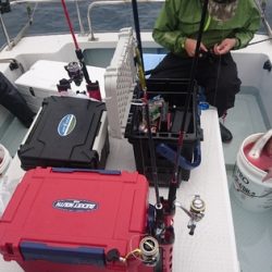 遊漁船ブルーウッズ 釣果