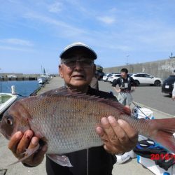 大進丸(新潟) 釣果