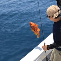 クルーズ 釣果