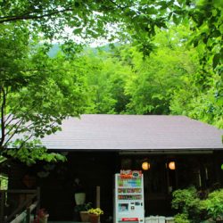 小菅トラウトガーデン 釣果