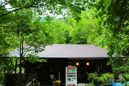 小菅トラウトガーデン 釣果