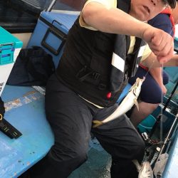 ヤザワ渡船 釣果