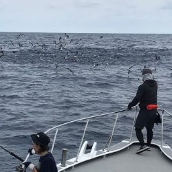 へいみつ丸 釣果