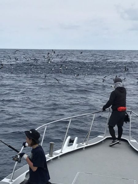 へいみつ丸 釣果