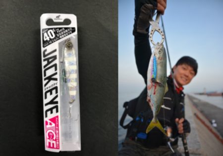 武庫川一文字 NEWジャックアイでライトショアジギング【ハヤブサ・橋本翔大】