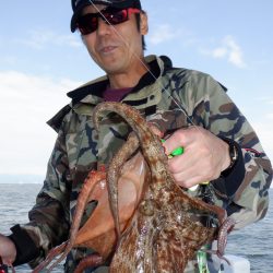 かもめ釣船 釣果