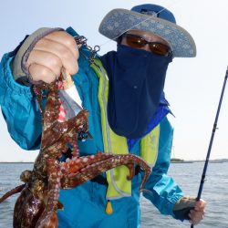 かもめ釣船 釣果