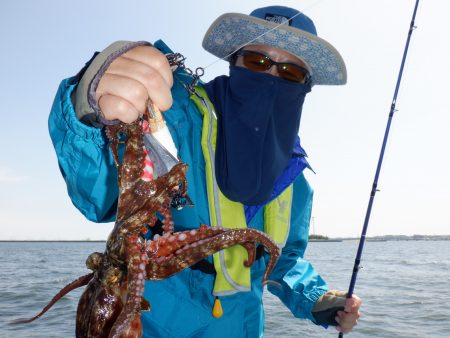 かもめ釣船 釣果