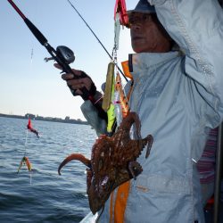 かもめ釣船 釣果