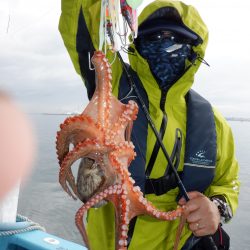 かもめ釣船 釣果