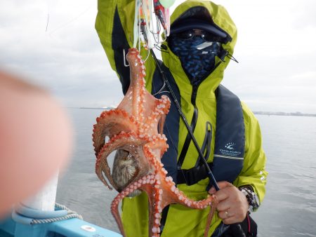 かもめ釣船 釣果
