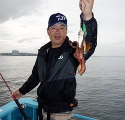 かもめ釣船 釣果