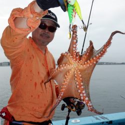 かもめ釣船 釣果