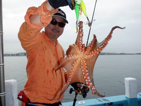 かもめ釣船 釣果