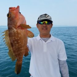 遊漁船 ニライカナイ 釣果