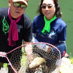 小菅トラウトガーデン 釣果