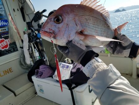 遊漁船 ニライカナイ 釣果
