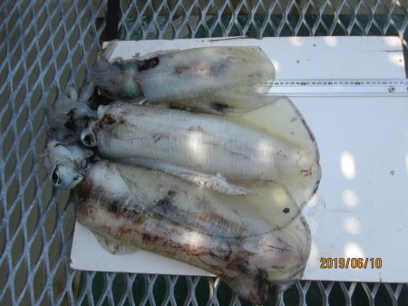 下関フィッシングパーク 釣果