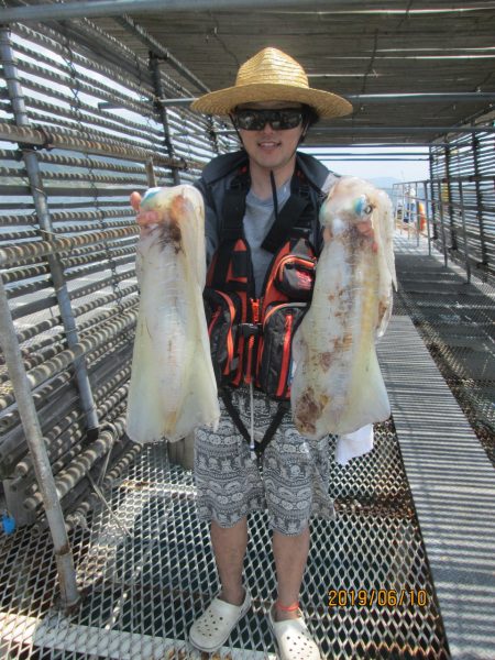 下関フィッシングパーク 釣果