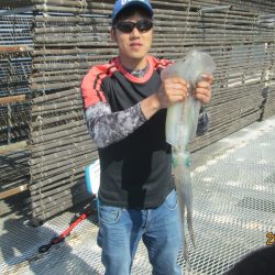 下関フィッシングパーク 釣果