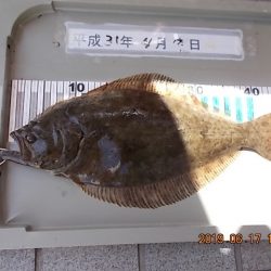姫路市立遊魚センター 釣果