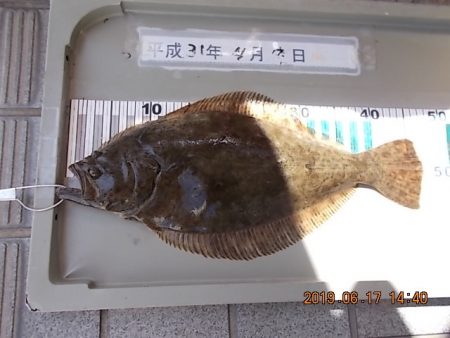 姫路市立遊魚センター 釣果