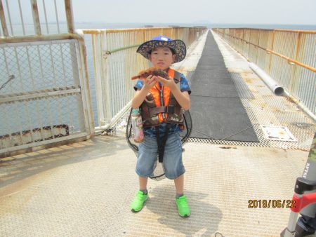 下関フィッシングパーク 釣果