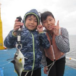 オリジナルメーカー海づり公園(市原市海づり施設) 釣果
