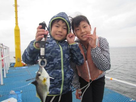 オリジナルメーカー海づり公園(市原市海づり施設) 釣果