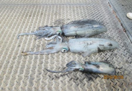 下関フィッシングパーク 釣果