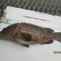 下関フィッシングパーク 釣果