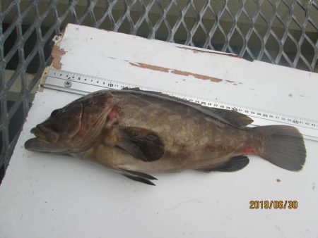 下関フィッシングパーク 釣果