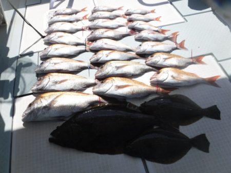 遊漁船 幸友丸 釣果